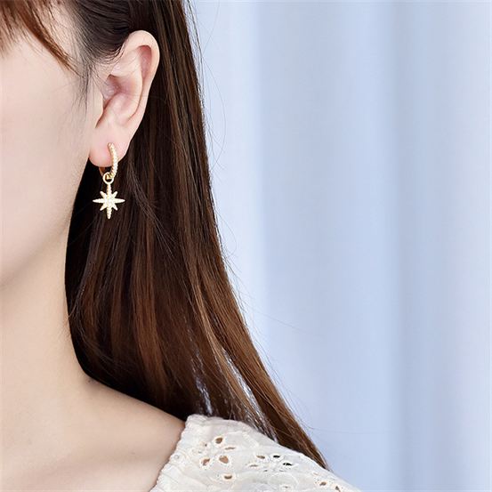 Asymmetry CZ Star Circle 925 Sterling Silver Leverback Earrings